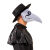 White Plague Doctor Mask