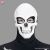 Plastic Skull Mask