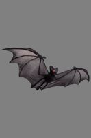 Schwarzer Hängender Fledermaus 55 cm