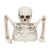 Groundbreaker Skelett 20cm