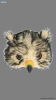 Masque de hibou en peluche