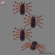 Set 4 Tarantule catifelate