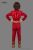 The Flash Jr