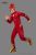 The Flash Jr