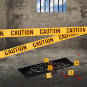 Set Escena del Crimen