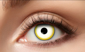 Lenses Avatar