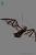 Furry Hanging Bat 40 cm