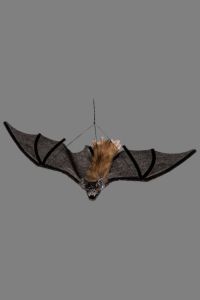 Murciélago peludo colgante 40 cm