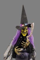 Vrăjitoare cu cazan lsm 60 cm