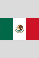 Bandeira México 90x150 cm