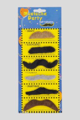 Lot de 6 moustaches assorties