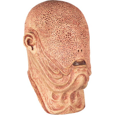 Maschera Sir Thomas
